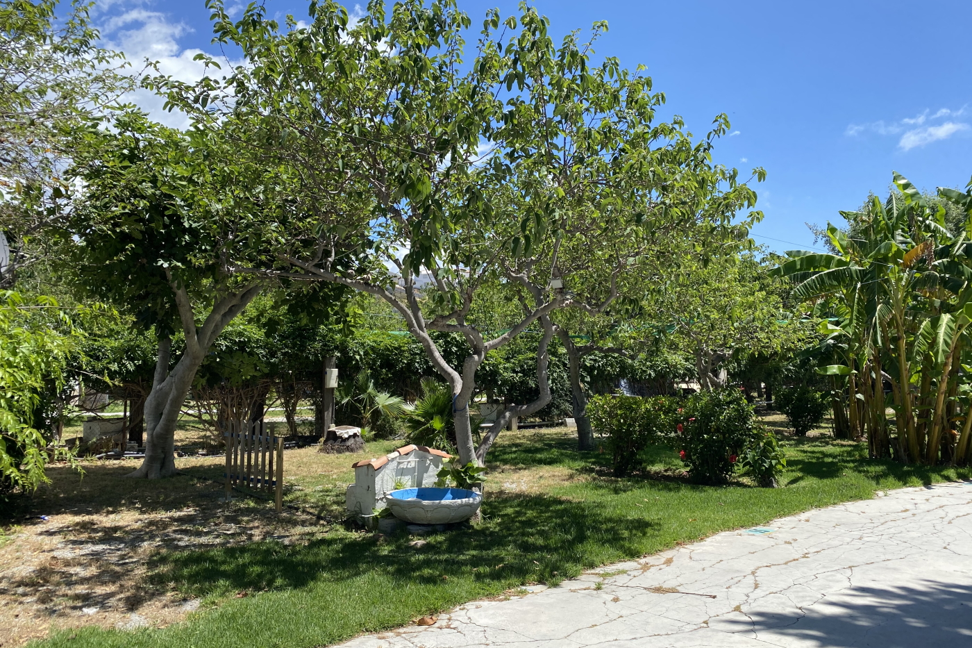 Camping Cerro Gordo — photo 2